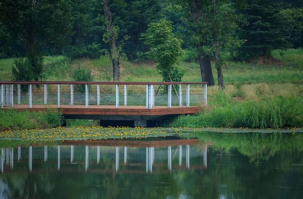 秦岭国家植物园田峪河湿地公园-88