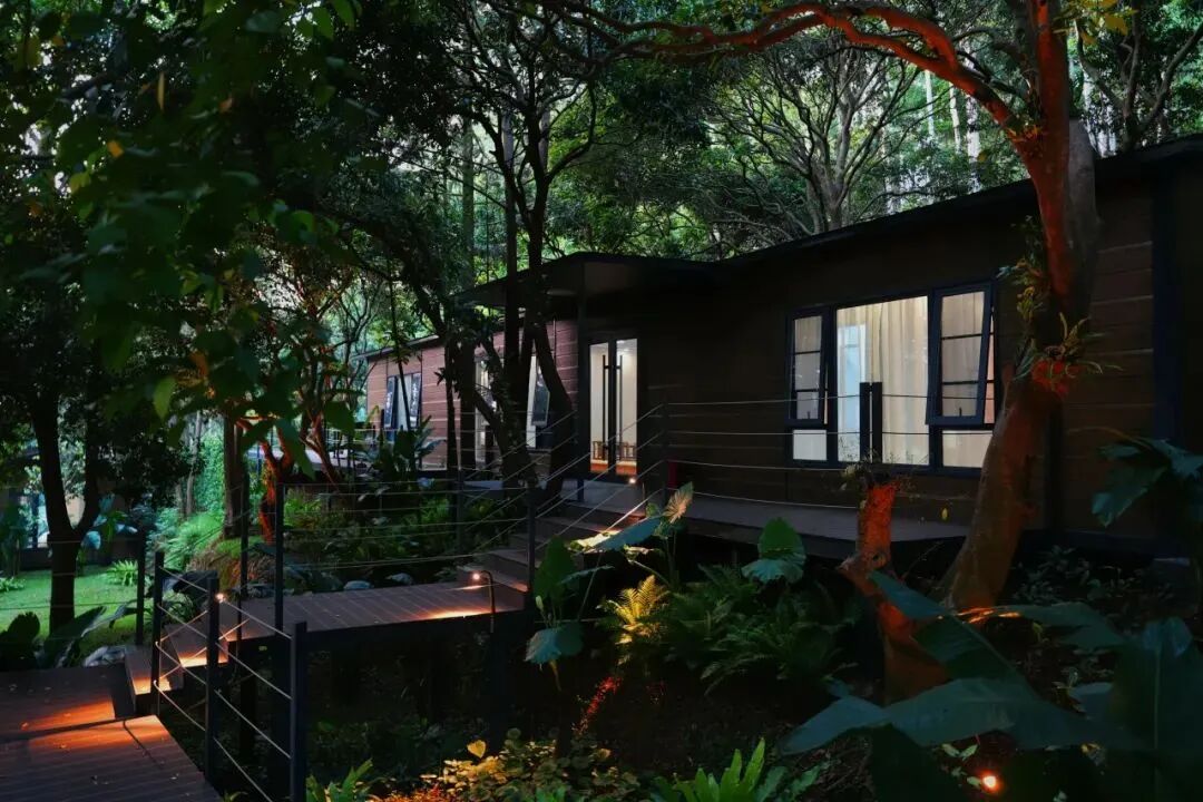 森・LOVE度假村盛大开业，集团创始人徐凯宏亲启千年古树秘境-53