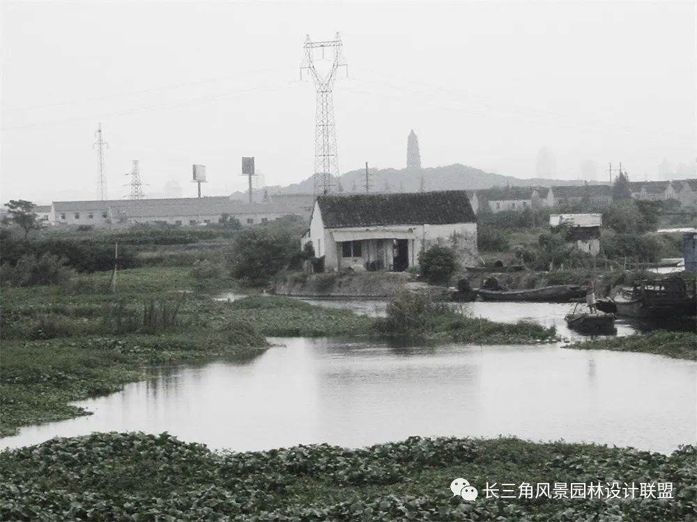 天堂的湿地,湿地的天堂-10