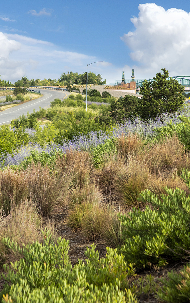 Sheridan/US36 Interchange - DTJ Design-15