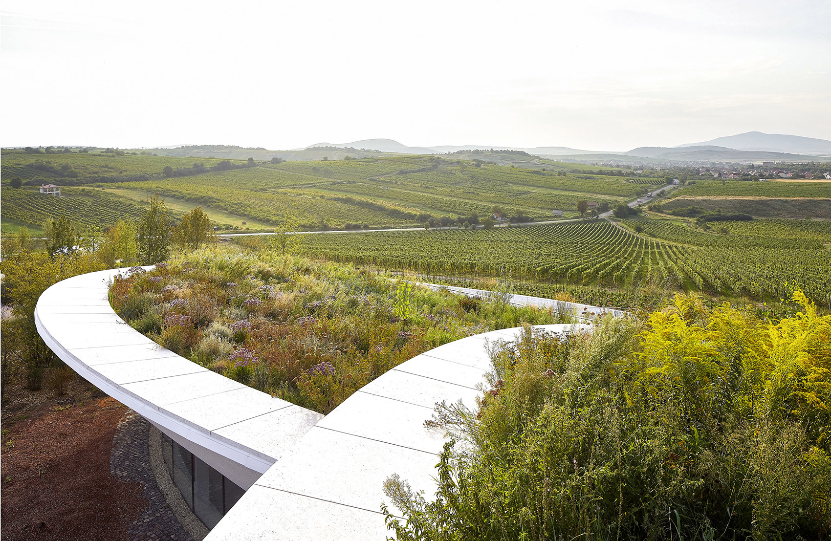 Sauska Tokaj酿酒厂，匈牙利 / BORD Architectural Studio-106