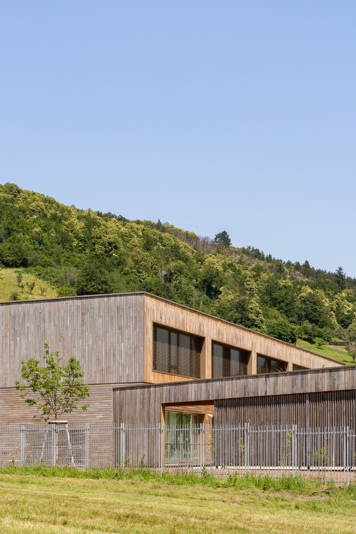 Honcourt 学校丨法国丨f+f architectes-18