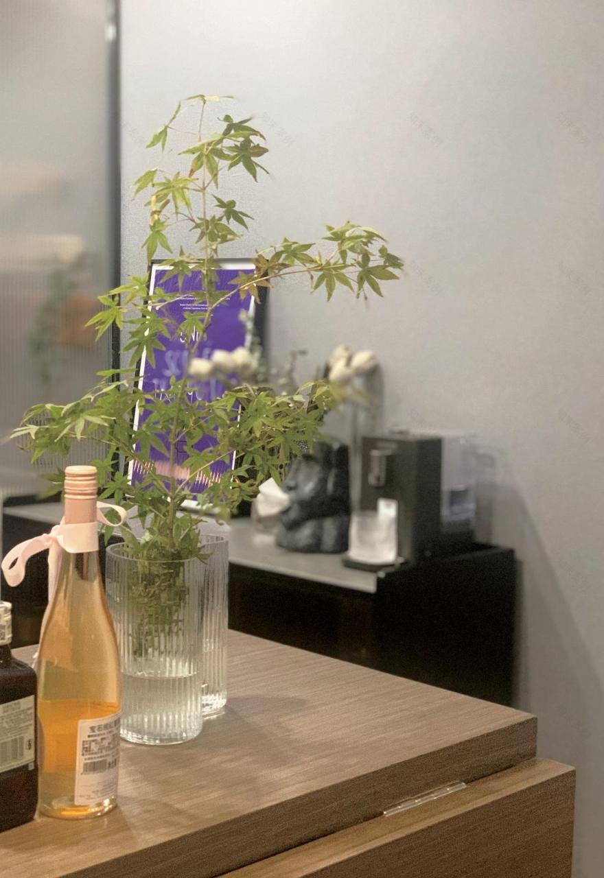 新婚夫妻现代风家居设计-44