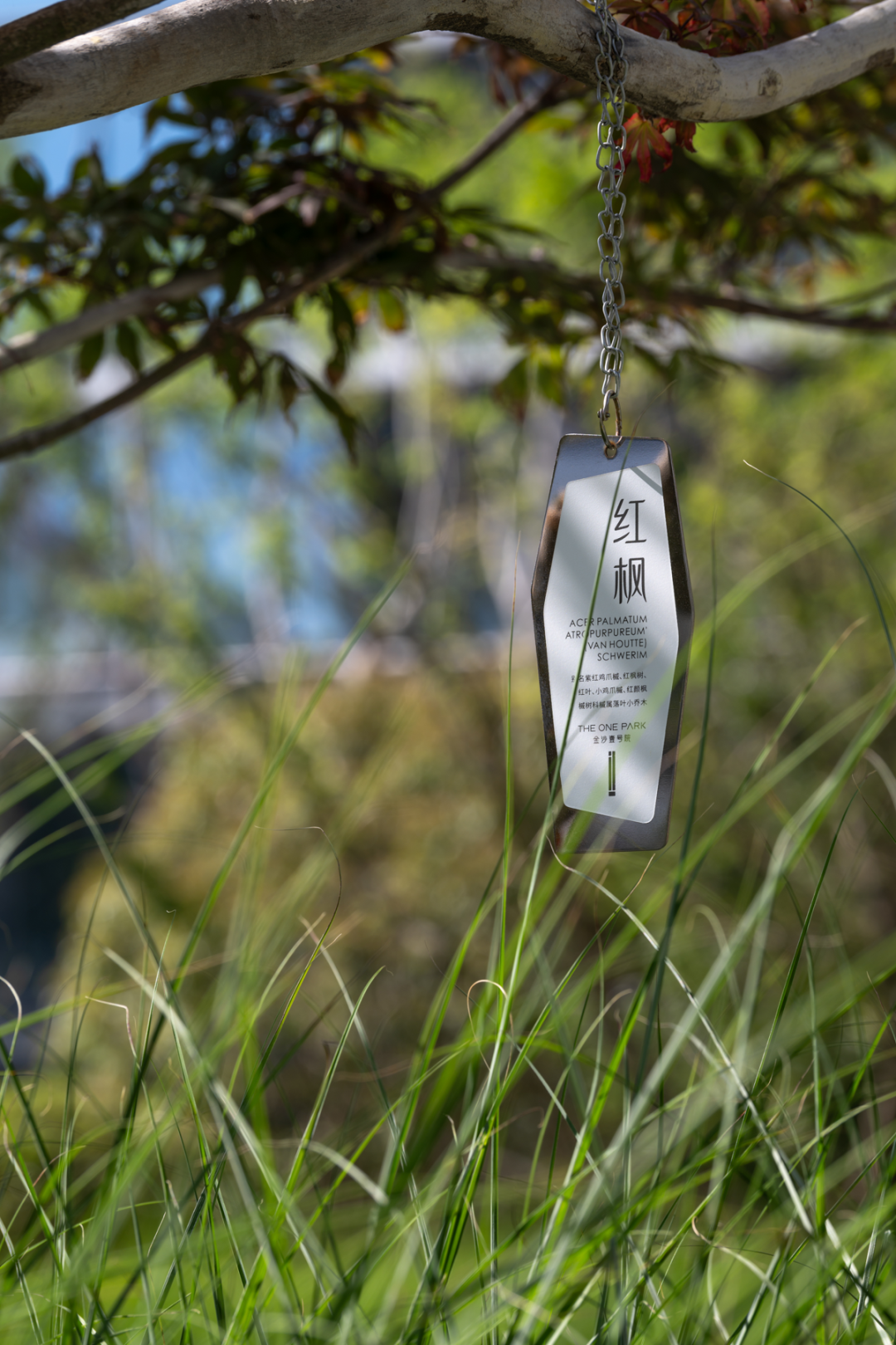 金沙壹号院 院藏万象 千屿归臻丨中国商丘丨柏熙标识-63