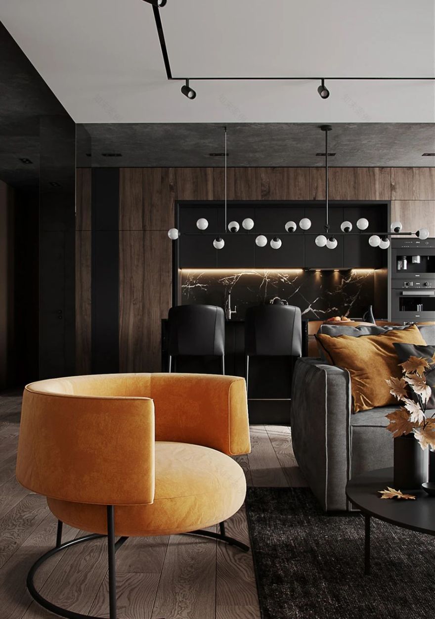 89㎡原木黑家居丨Alexander Bocharov-9