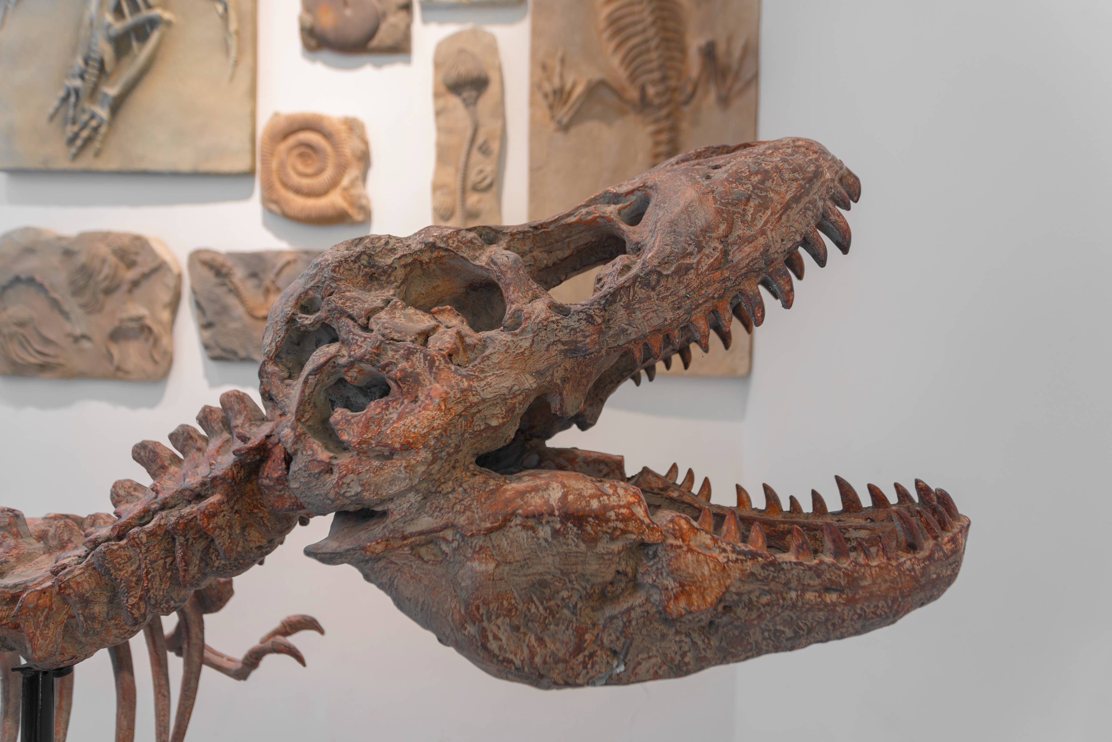 美国托特科学连锁教育中心 steam-苏州店（一淘设计机构）-6