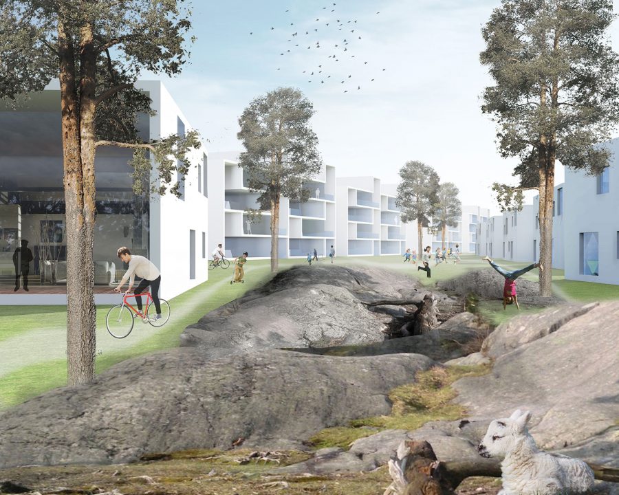 丨芬兰赫尔辛基-19