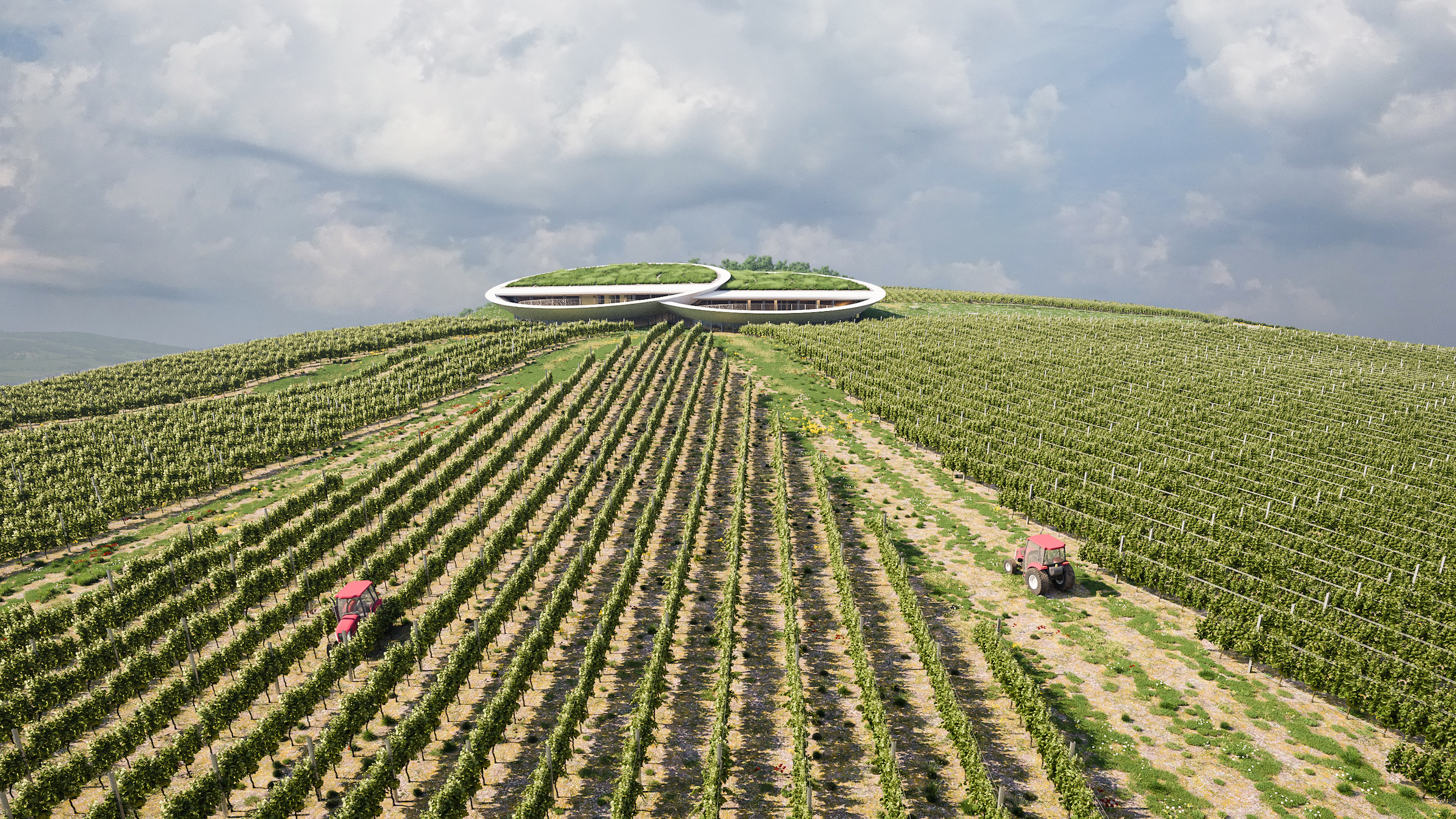 精灵之眼，索斯卡酒庄设计 / Homologue Studio-9