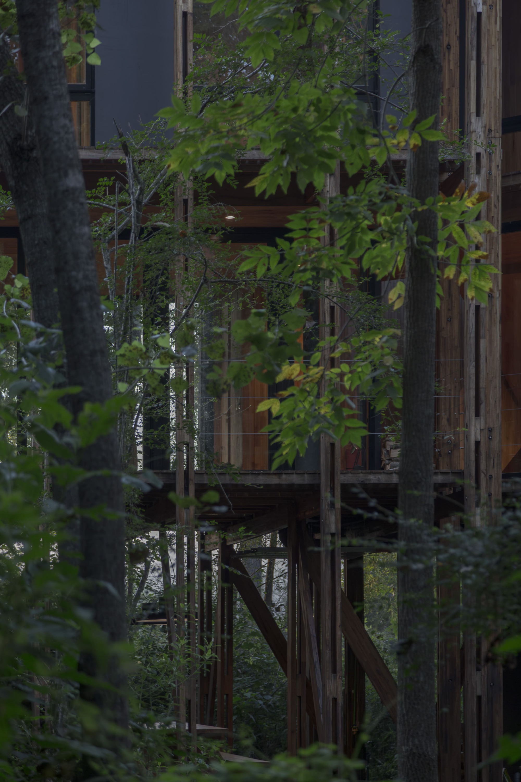 丨阿根廷丨Matías Cosenza Arquitecto-31