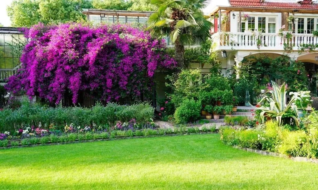 三棵树庄园 | 摄影家的心灵秘境-49