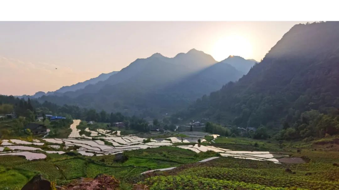 《青榭竹里》 | 即兴创作实践,重拾建筑温度-35