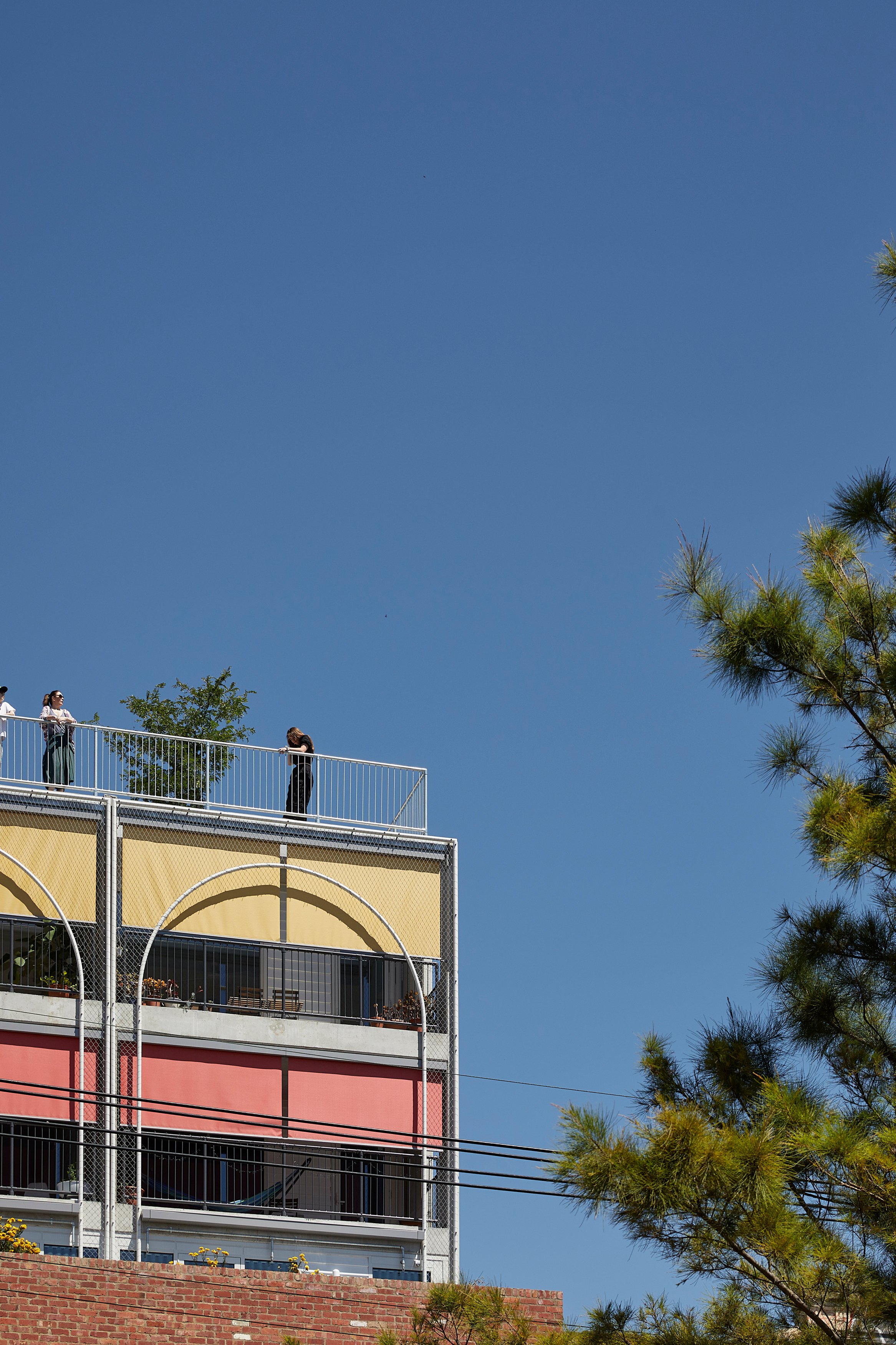 墨尔本 Terrace House丨澳大利亚墨尔本丨Austin Maynard Architects-97