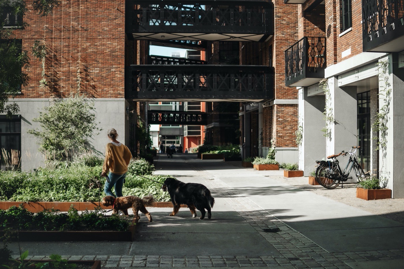 绿意盎然的小 C · Rotterdam 城市新地标丨荷兰鹿特丹-14