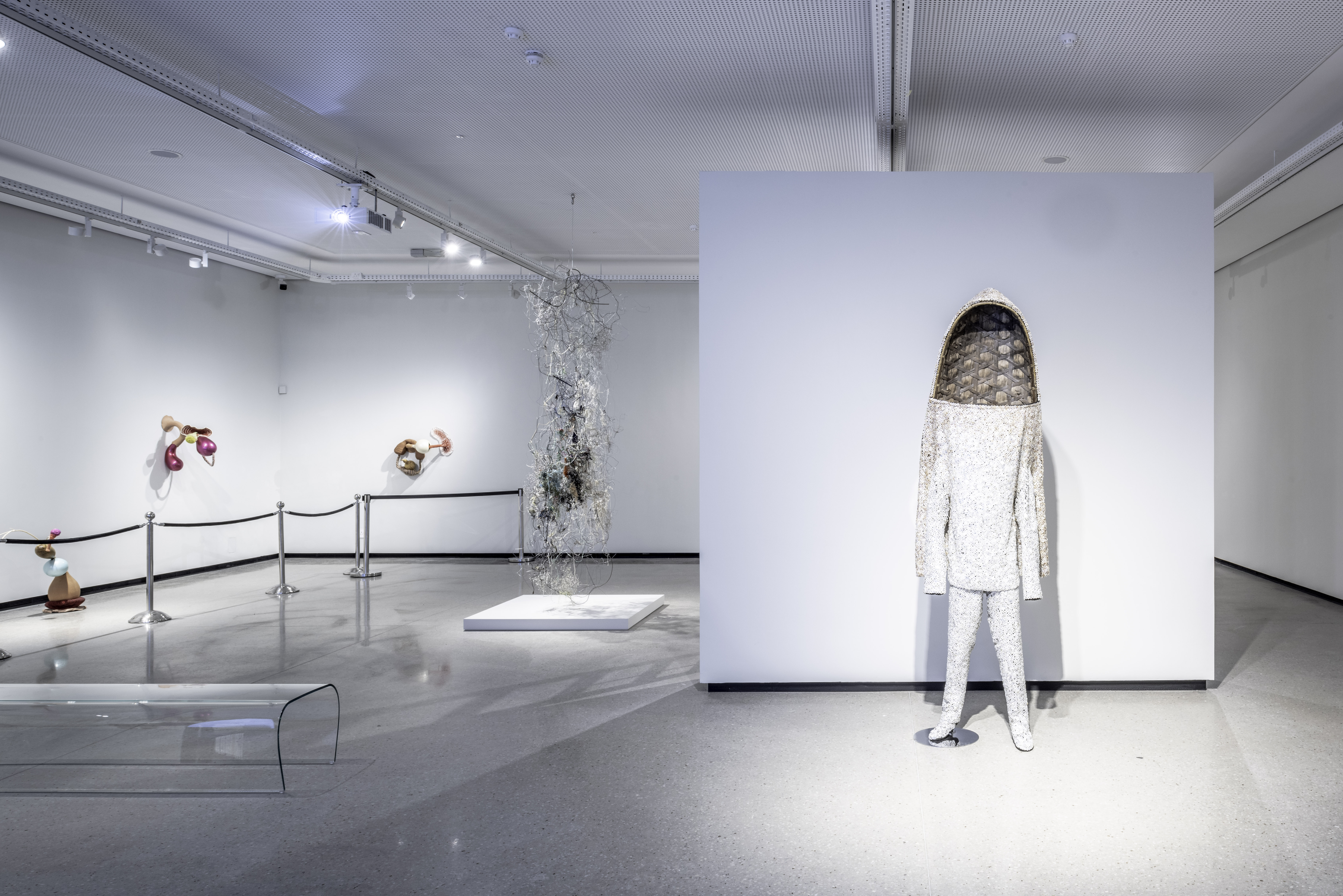 南非 Norval 基金会-22