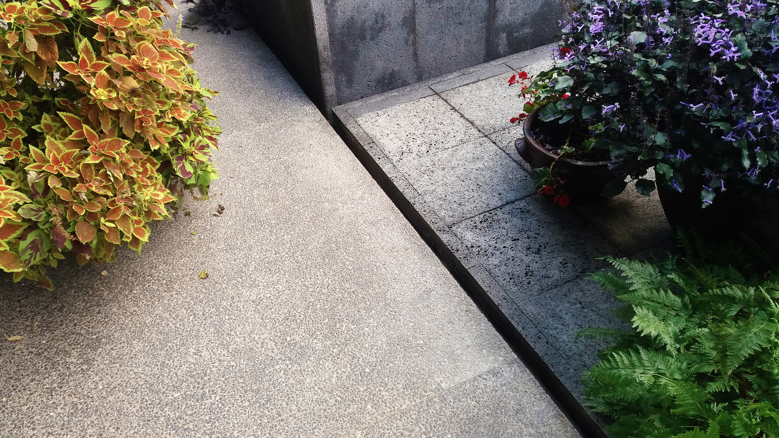 墨西哥火山石住宅（Rincón Del Pescado House）-41