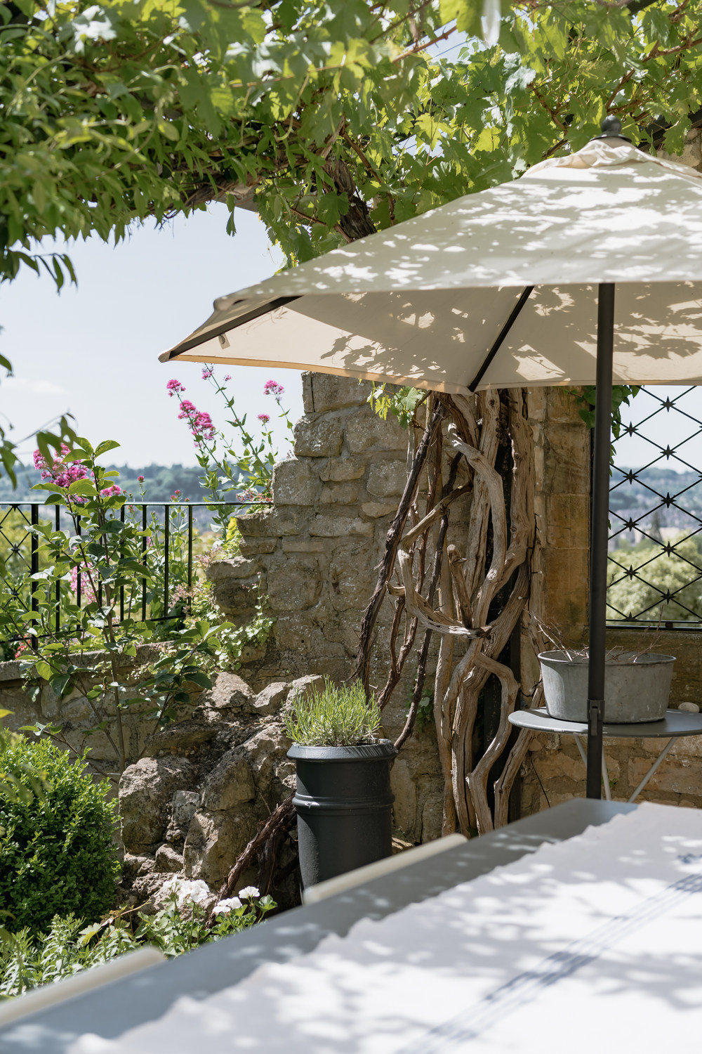 巴斯格鲁吉亚家园 | 电视制片人 Ann Lalić的宜居设计-23