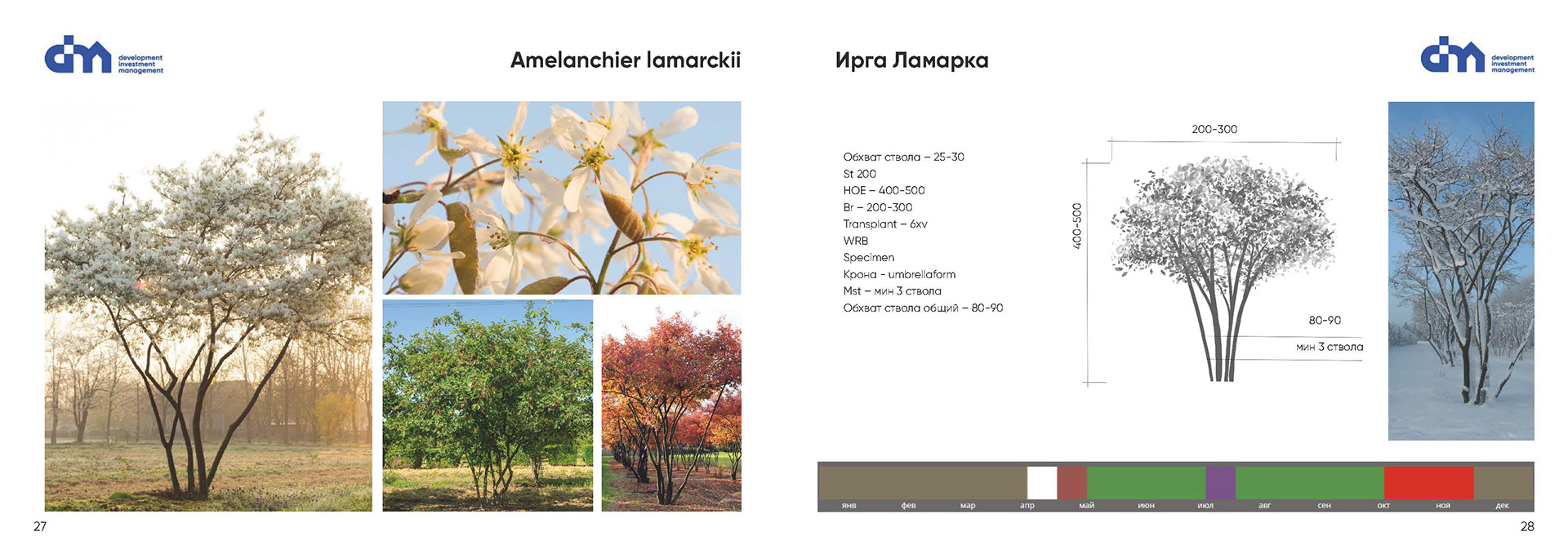 Greening standard for DIM Development-12