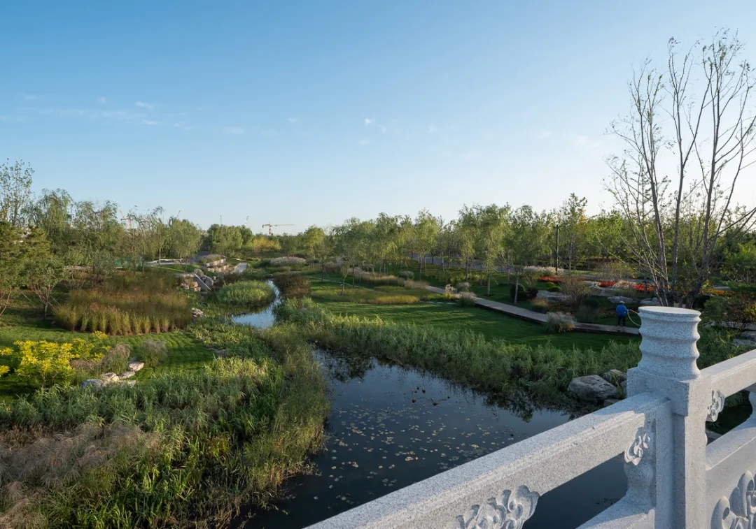 通州城市绿心森林公园丨中国北京丨北京建院-13