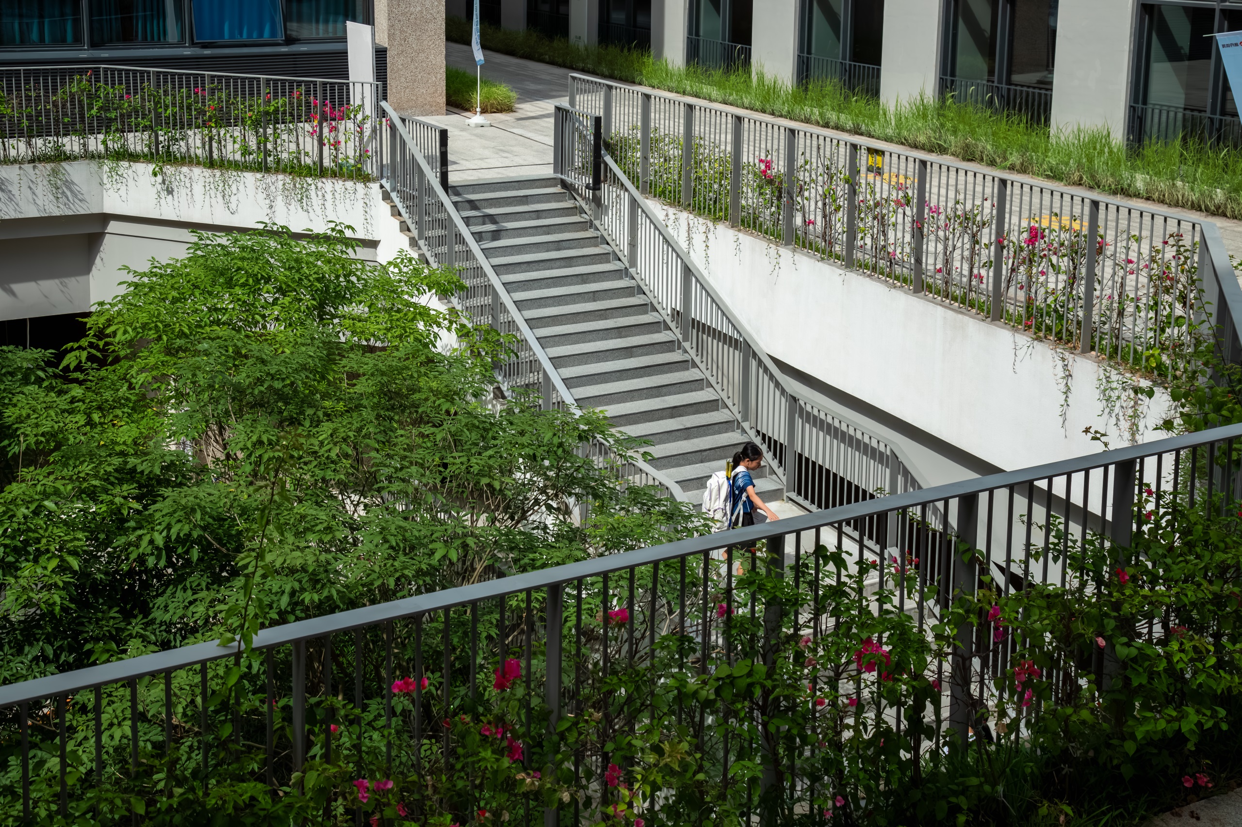 深圳市宝安中学（集团）海天学校丨中国深圳丨HILL 希尔景观-84