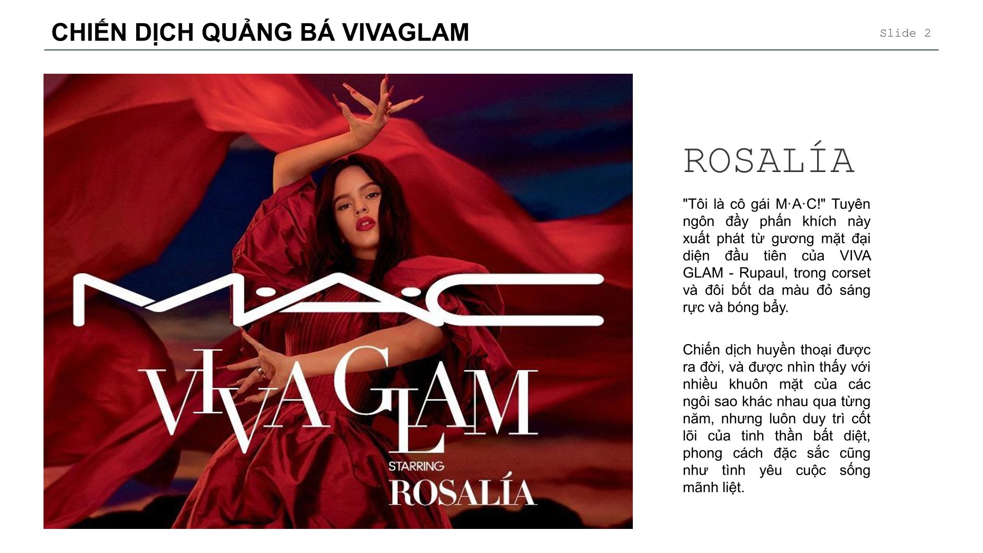 "M.A.C COSMETIC" PROJECT-1