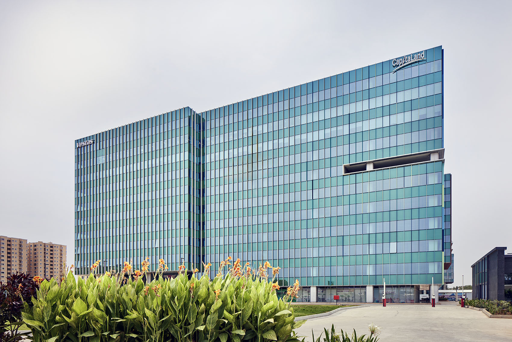 金奈科技园，印度 / Morphogenesis-4