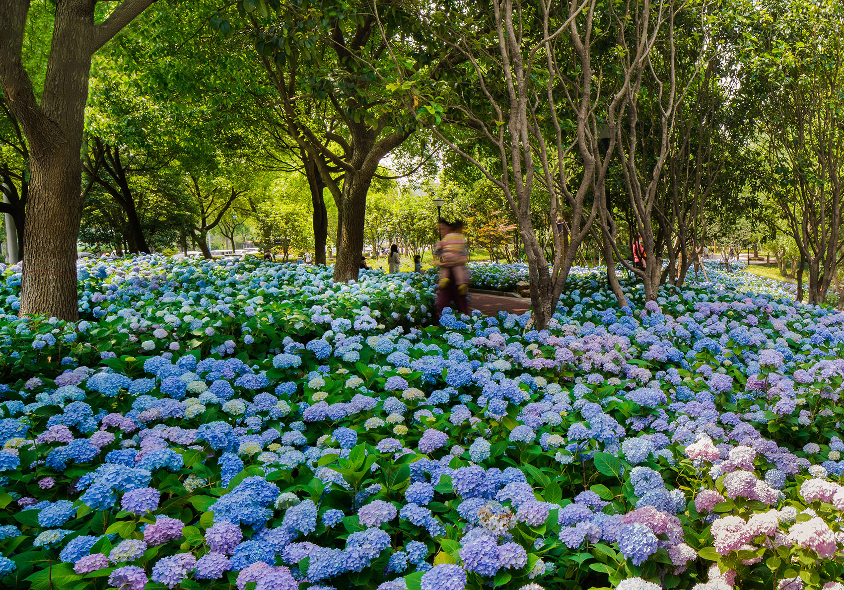 嘉兴口袋公园-58