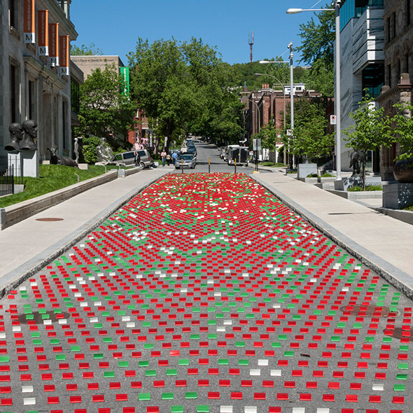 蒙特利尔街头的“向日葵田”丨加拿大蒙特利尔丨TOM II-5