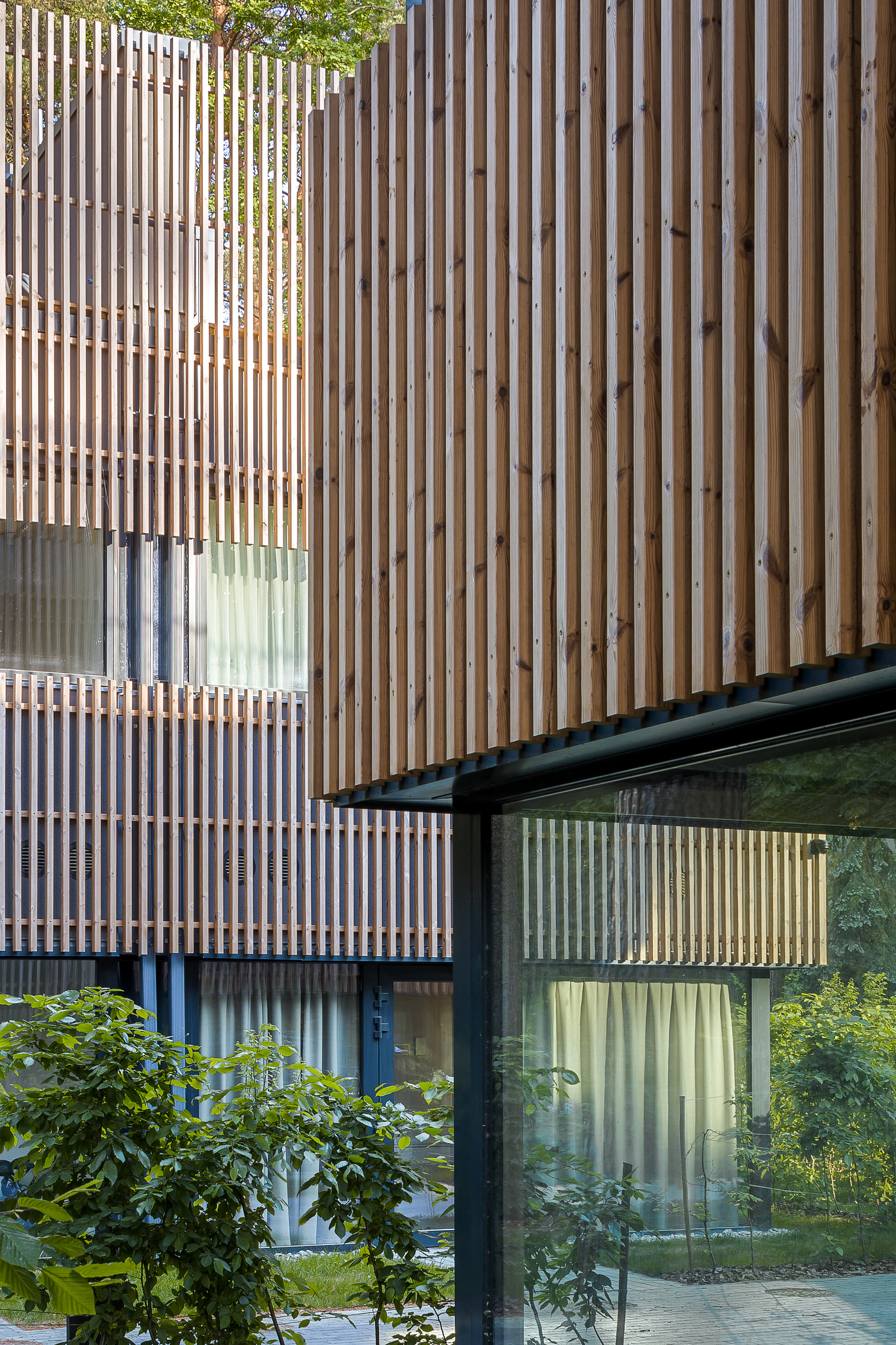 Residential Houses in the Pinewood Near Vilnius / Paleko architektu studija-22