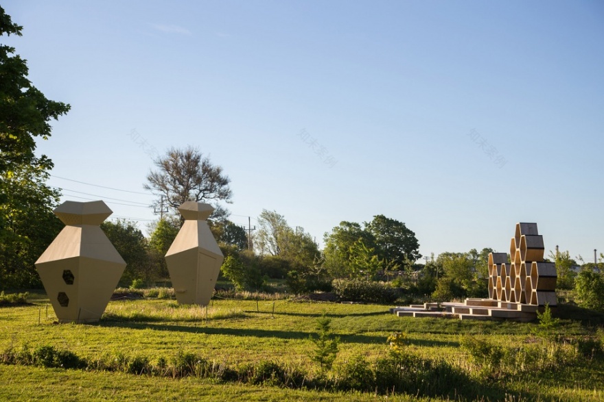 城市蜂巢 · 加拿大社区蜜蜂教育项目-3