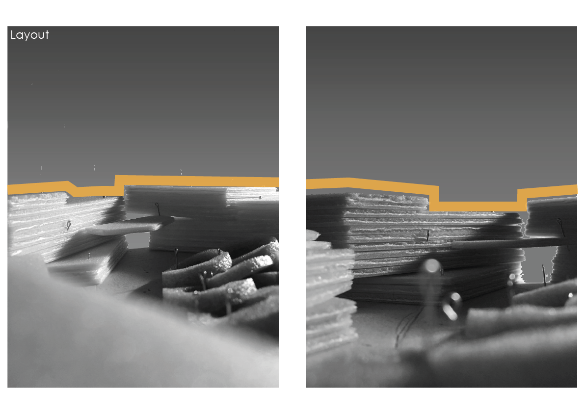 Attraction and Protection-5