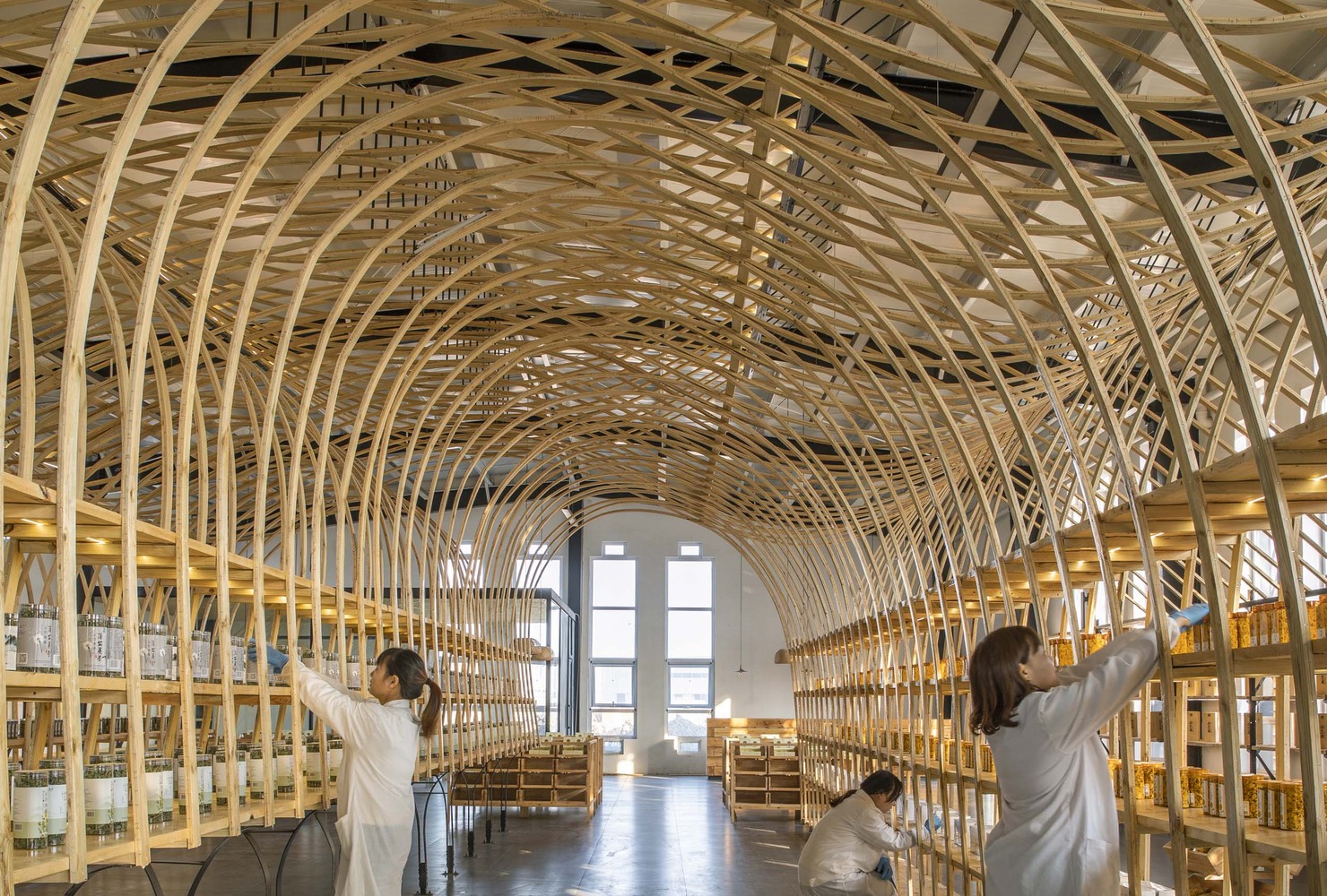 云台山冰菊展示架丨中国焦作丨LUO studio-19