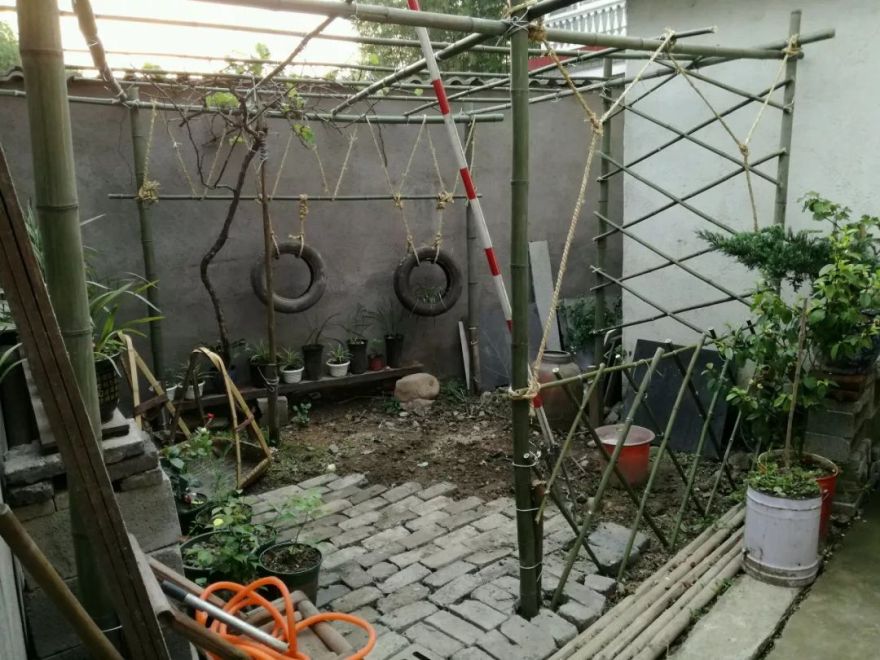 大叔也爱养花,3天造出个小花园,一分钱没花!-18