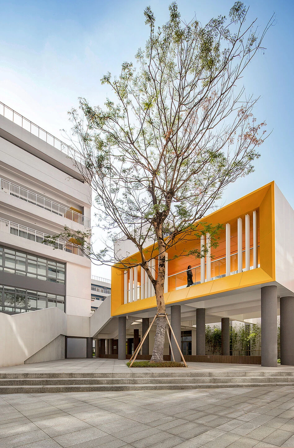 Foshan Meisha School-15