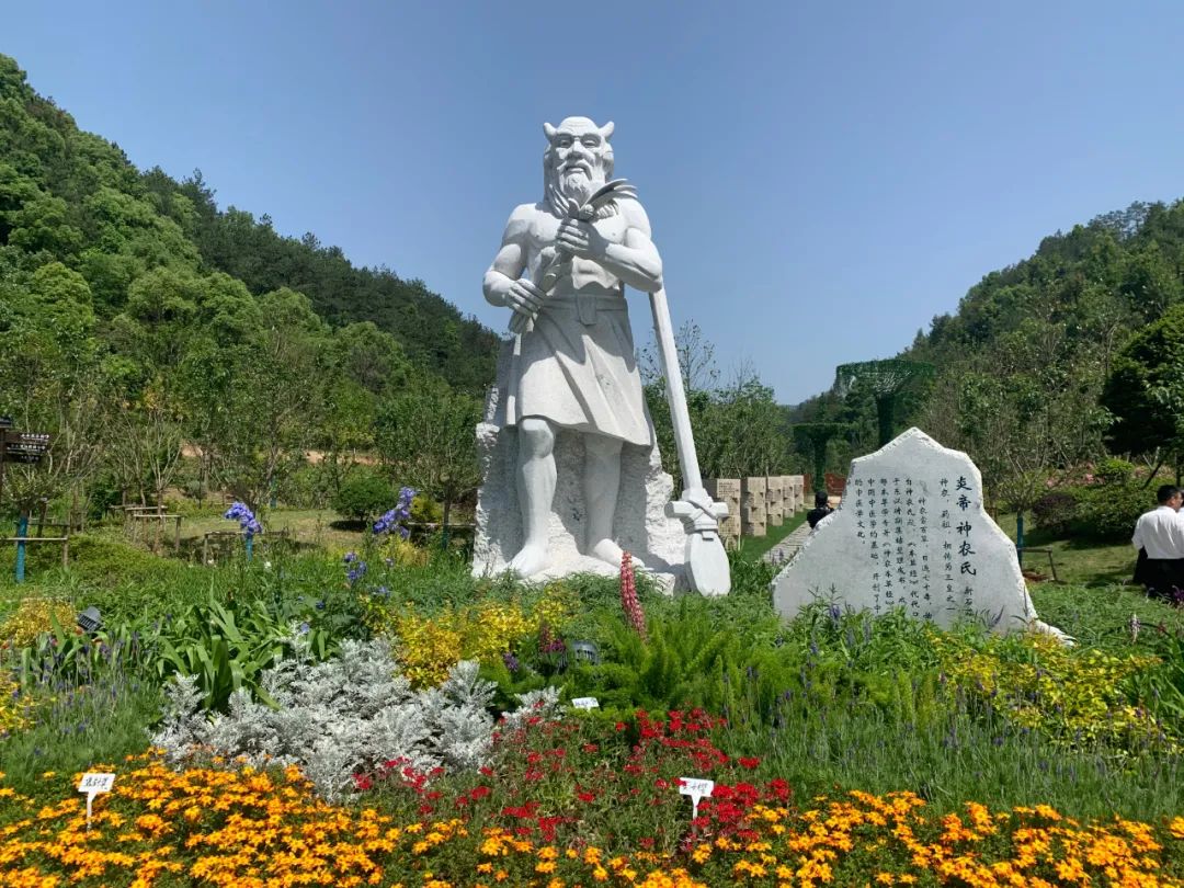 华东药用植物园丨中国丽水丨上海市园林设计研究总院-14