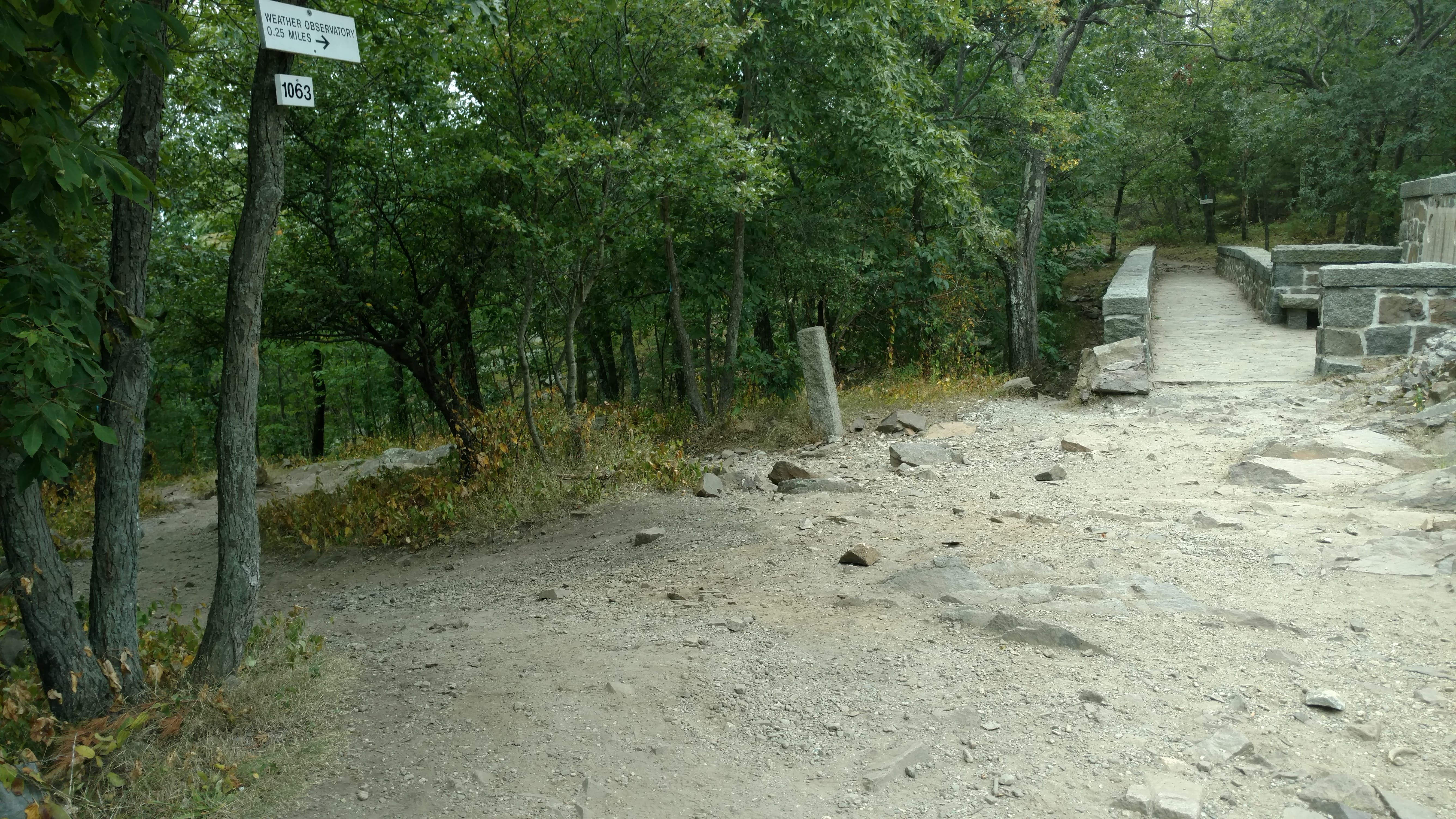 ELIOT TOWER MASONRY AND EROSION REPAIRS - Dodson & Flinker - Landscape Architecture and Planning-8