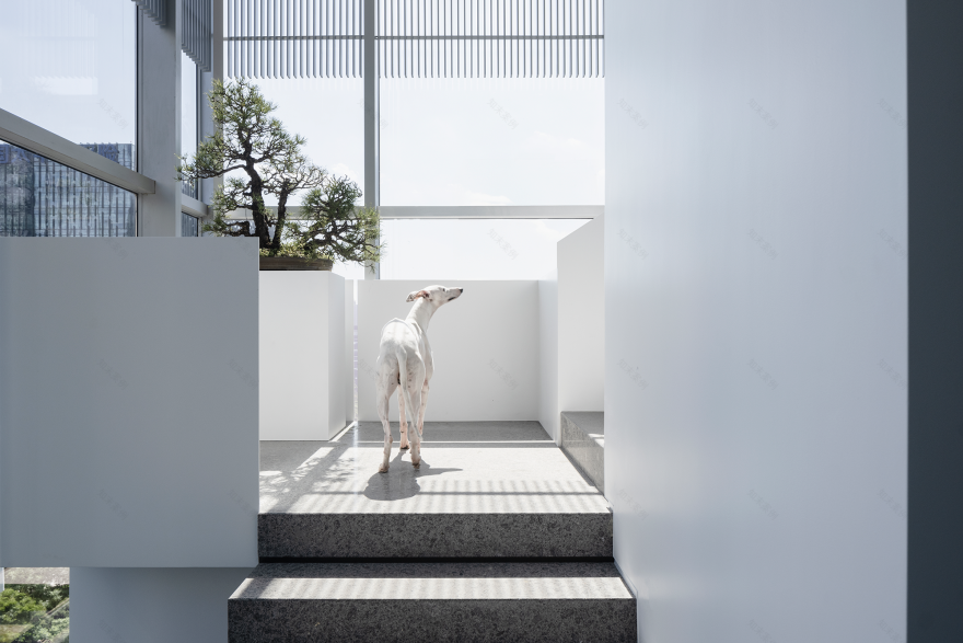 惟道创意办公空间丨中国成都丨惟道创意室内设计有限公司-10