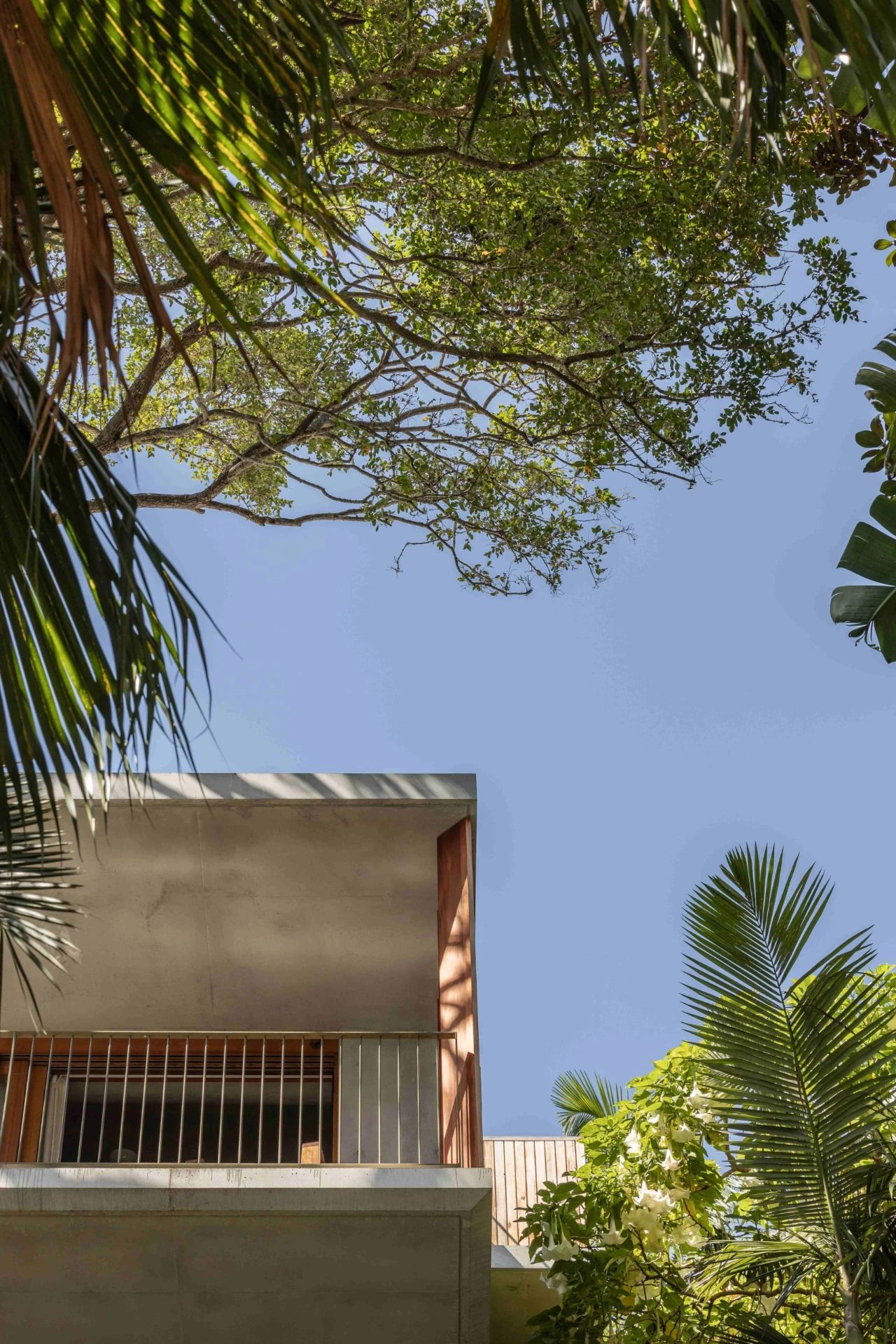 Northern Lights 海滨景致丨澳大利亚悉尼丨Cadence  Co-27