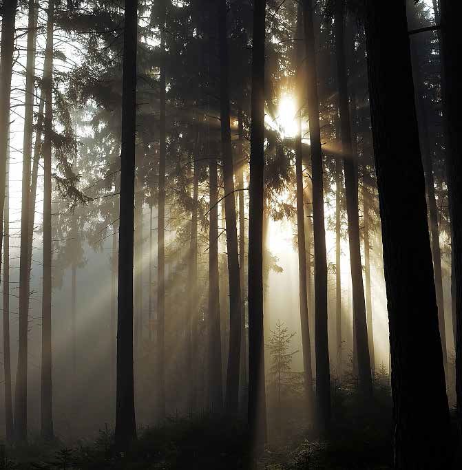 光在静默中写诗 | 旭辉南通·静海府-24