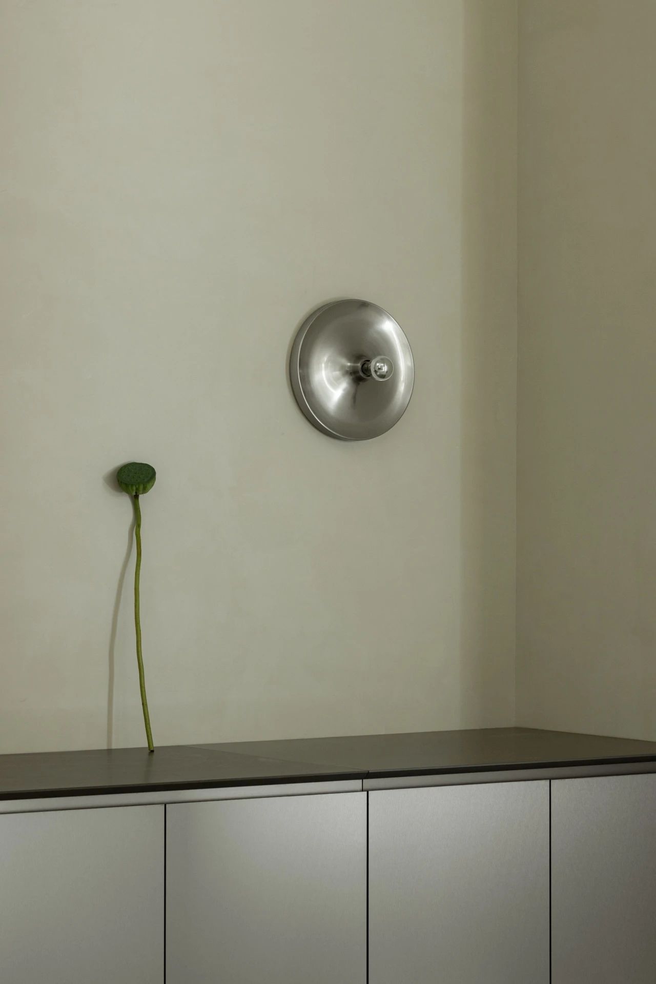 枝叶扶苏丨中国合肥丨量子空间-21