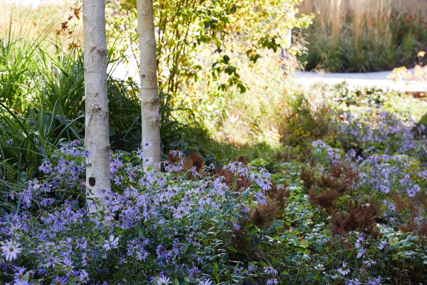 绿色之心的现代景观设计丨BD landscape architects-21