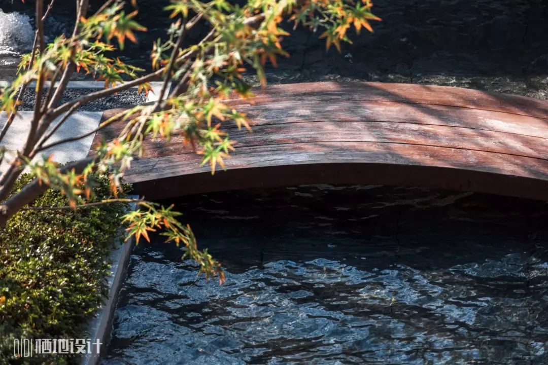 春风十里,赏鉴各地居住区春日美景-61