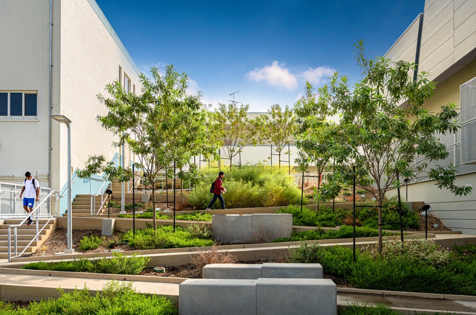 洛杉矶 Berendo 中学新体育馆丨美国洛杉矶丨CO Architects-2