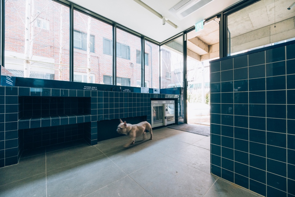 Treehouse 青年共享公寓丨韩国首尔丨Boda Architecture-35