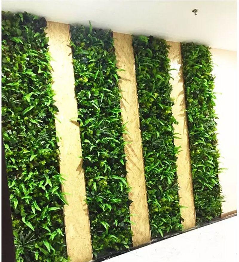 深圳市沸腾创业投资有限公司-37