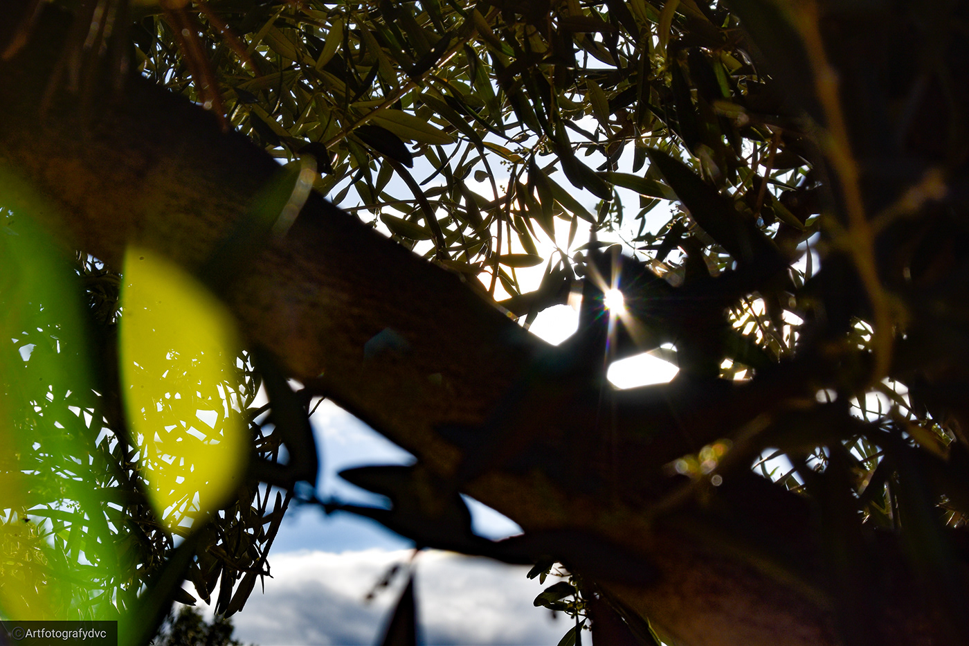 3° Entrega pasión por las fotos-0