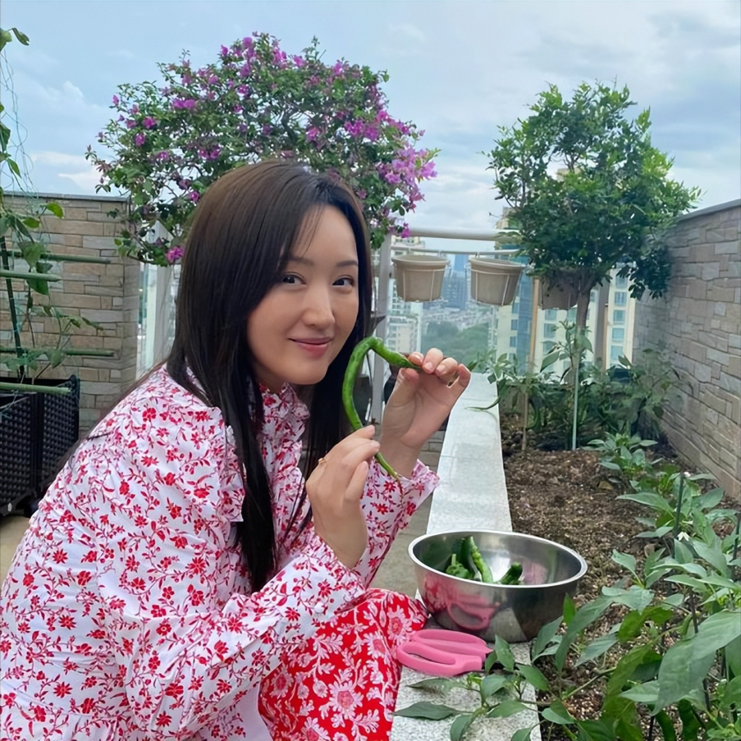 52 岁杨钰莹的 “豪宅” 火了，一个人，养花种菜，与狗相伴，治愈了很多人-11