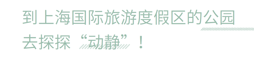 勝地|到公园去探探“动静”！-1