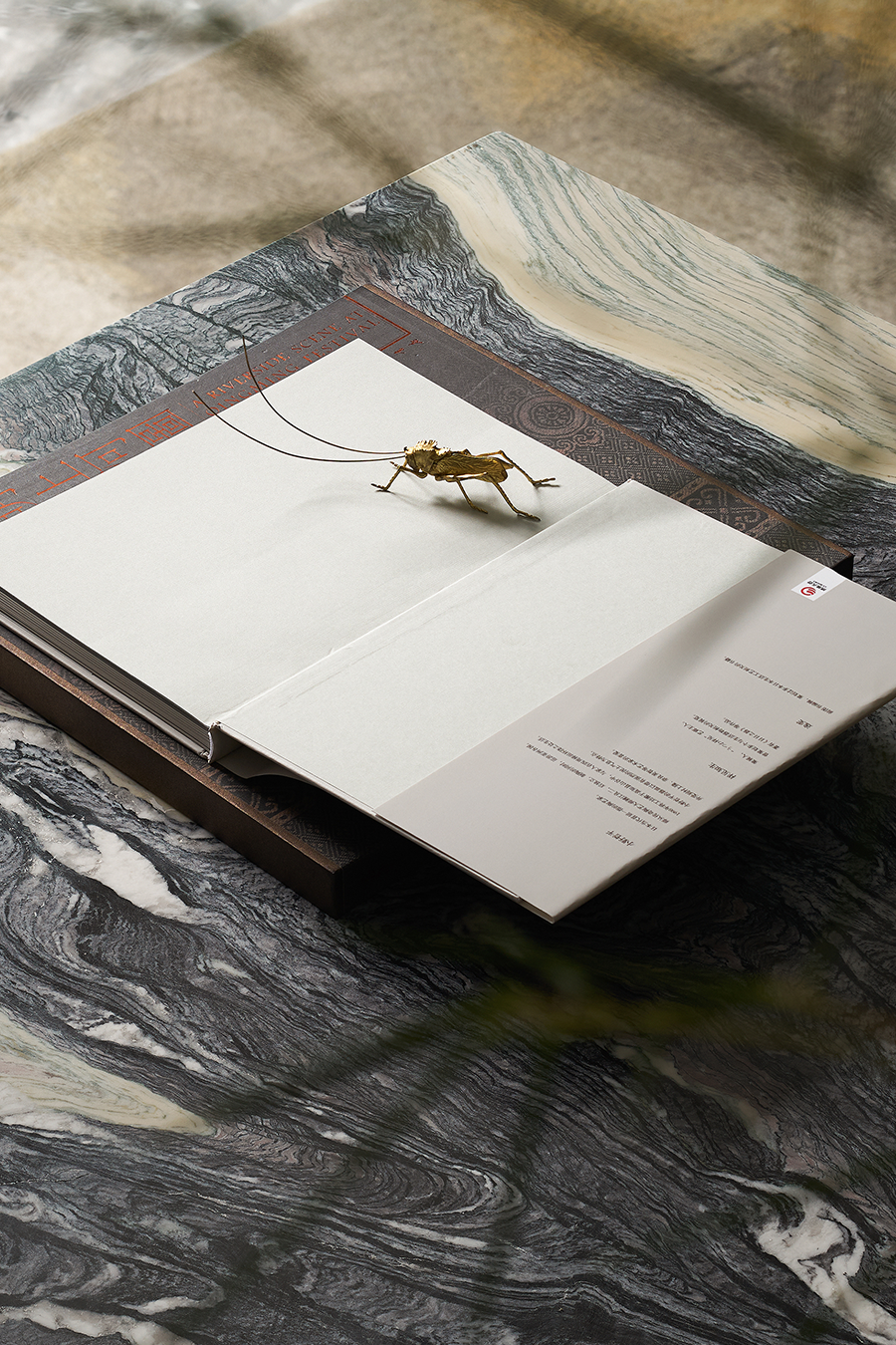 厦门合院别墅 · 现代东方诗意生活的完美诠释丨中国厦门-0