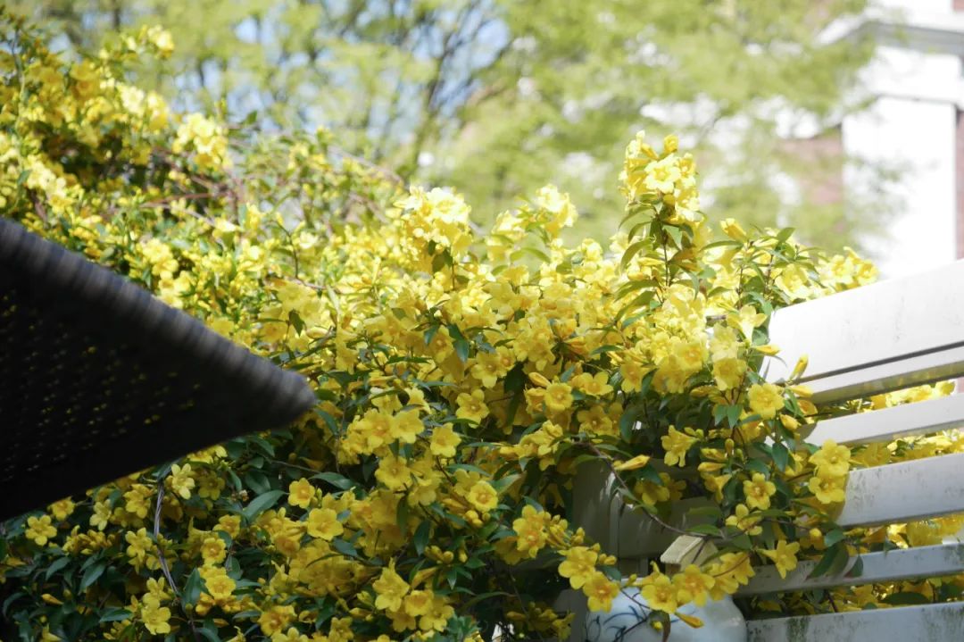 一米花园丨中国上海丨专业设计团队-48