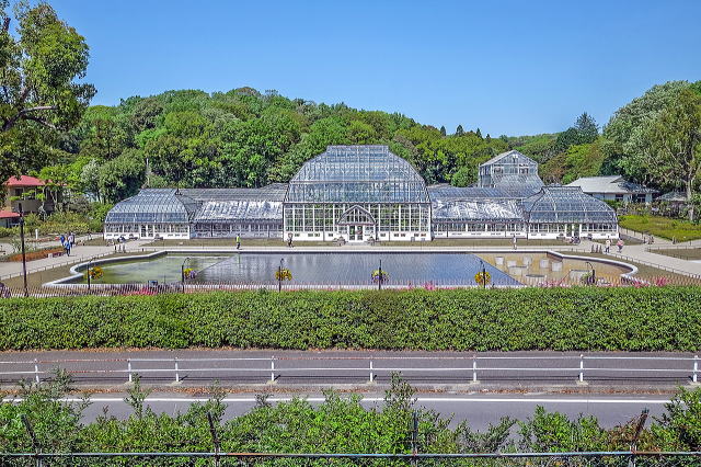 名古屋市东山动植物园之植物园丨日本爱知-37